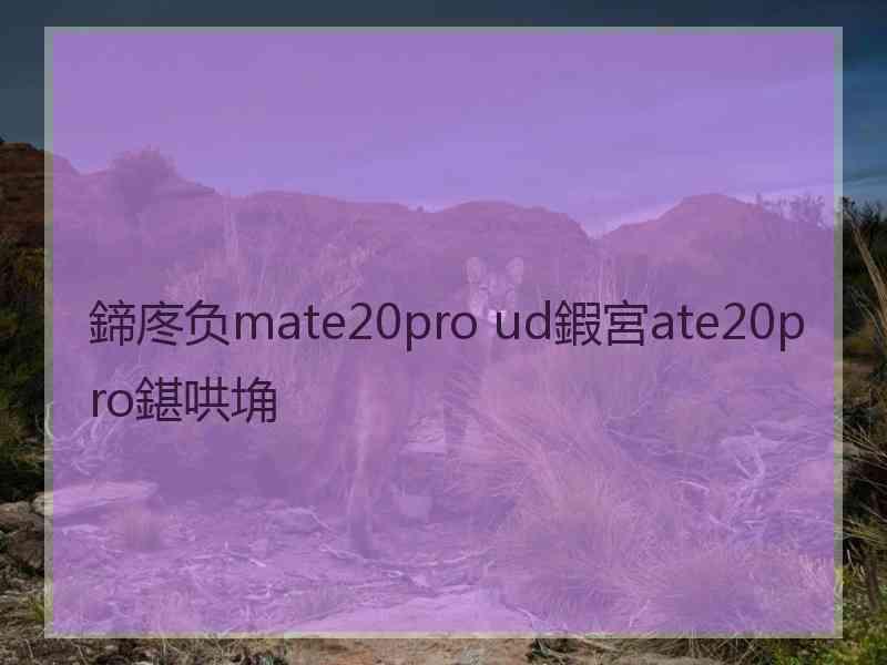 鍗庝负mate20pro ud鍜宮ate20pro鍖哄埆