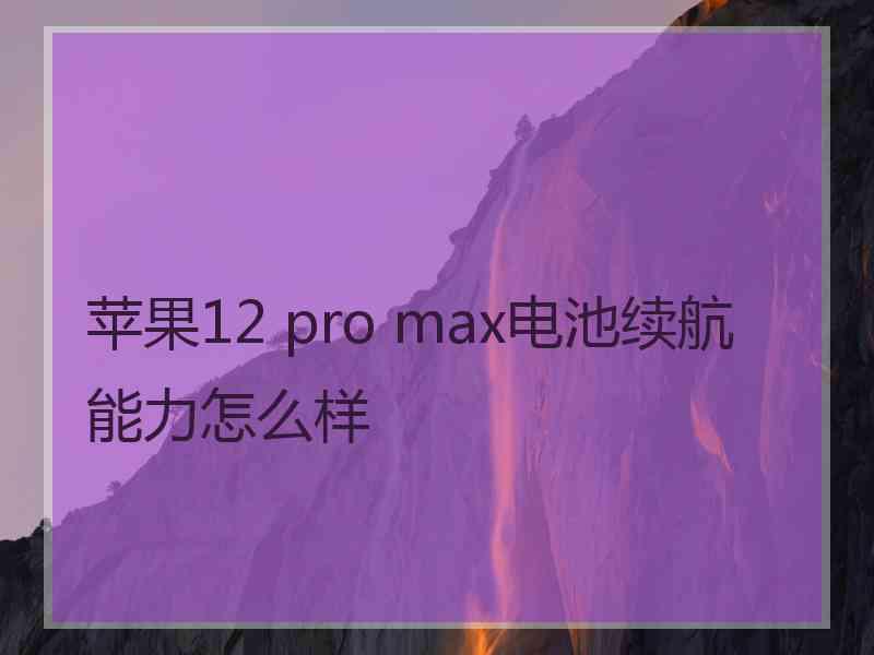 苹果12 pro max电池续航能力怎么样