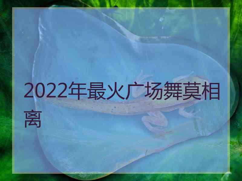 2022年最火广场舞莫相离