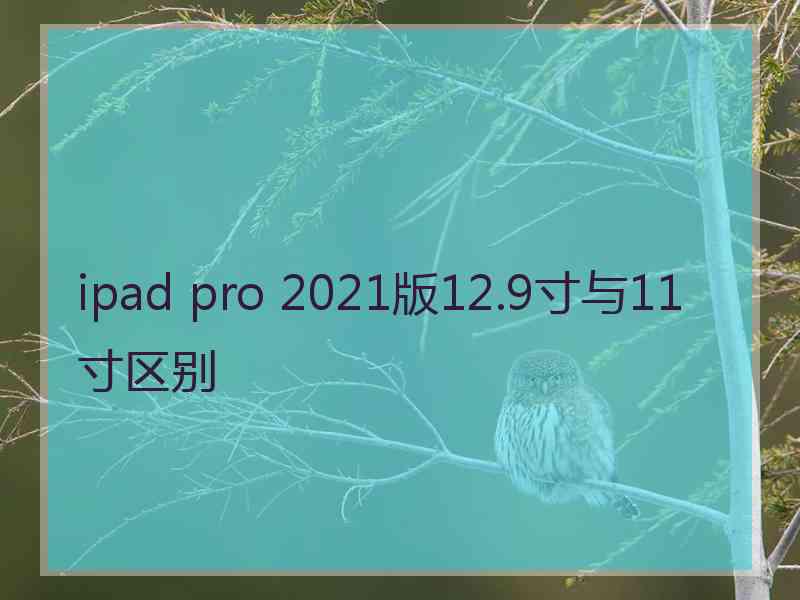 ipad pro 2021版12.9寸与11寸区别