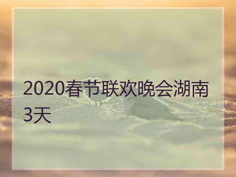 2020春节联欢晚会湖南3天