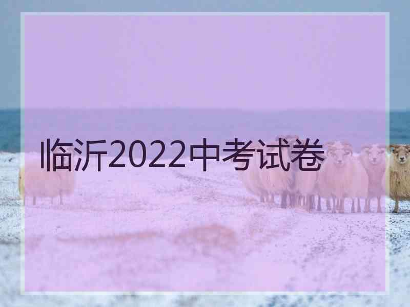 临沂2022中考试卷