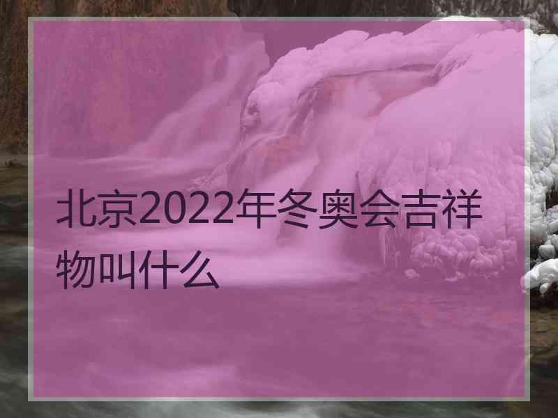 北京2022年冬奥会吉祥物叫什么