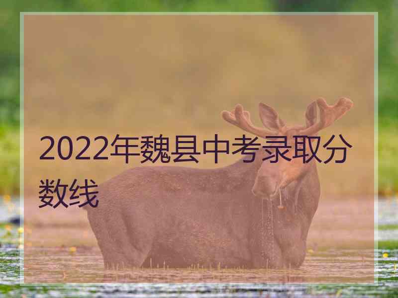 2022年魏县中考录取分数线