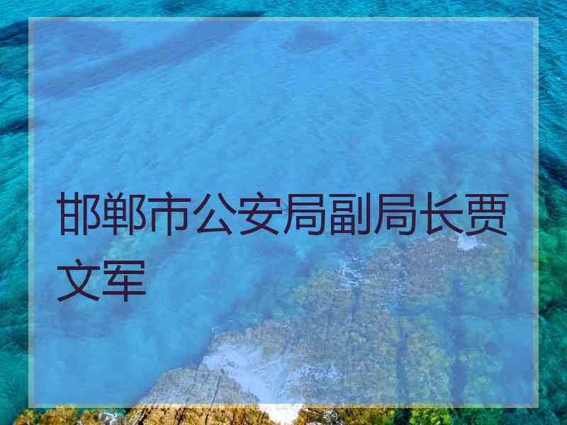 邯郸市公安局副局长贾文军