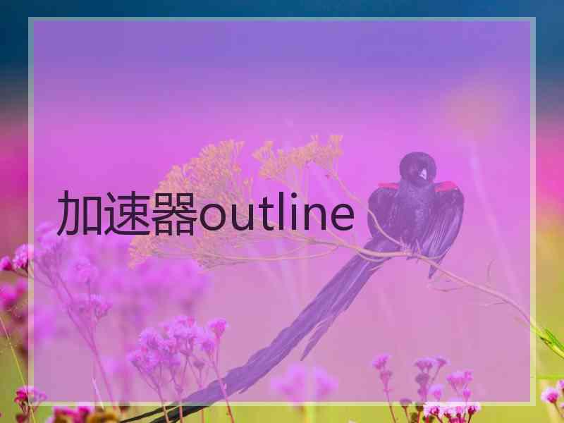 加速器outline