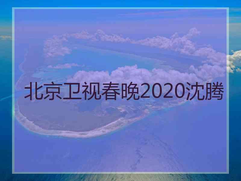 北京卫视春晚2020沈腾