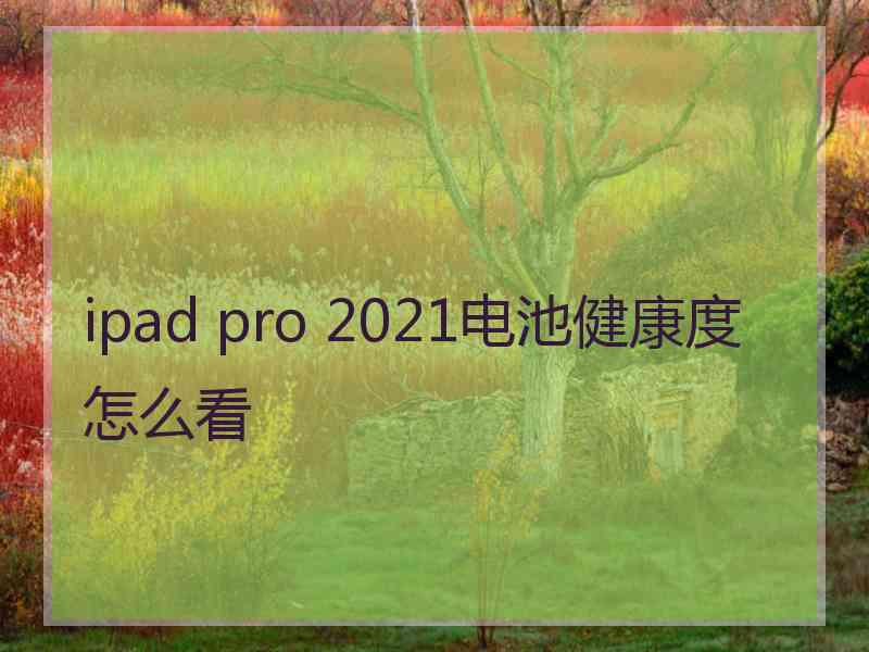 ipad pro 2021电池健康度怎么看