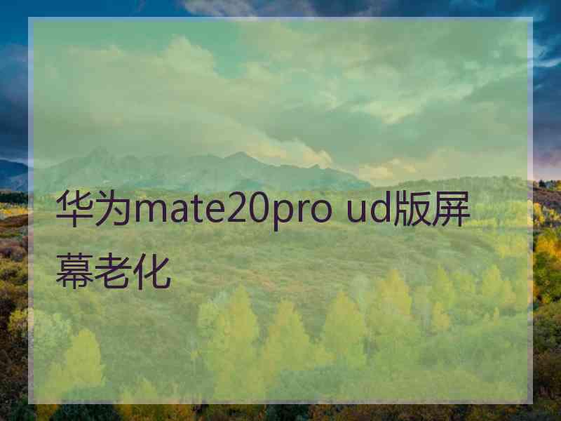 华为mate20pro ud版屏幕老化