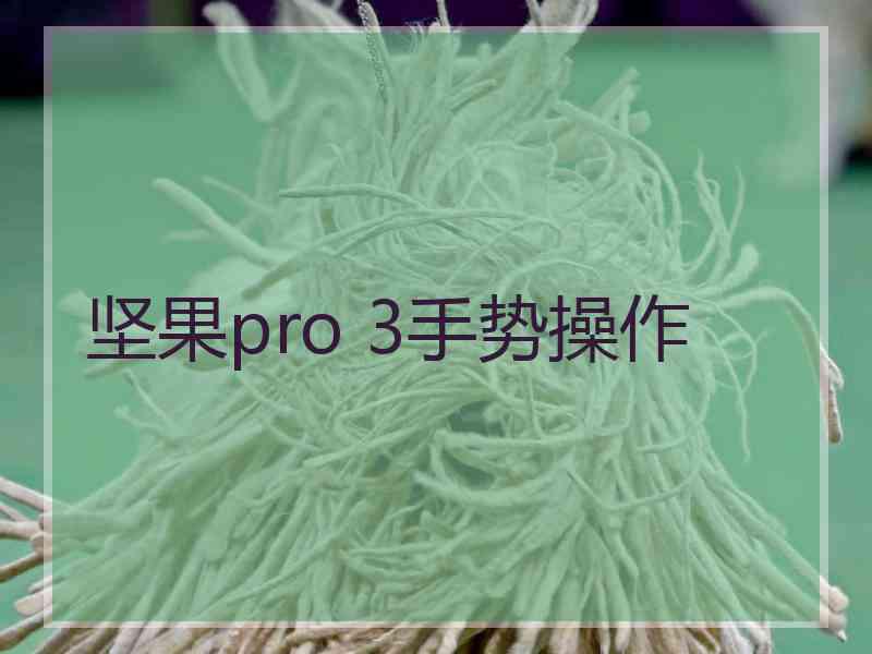 坚果pro 3手势操作