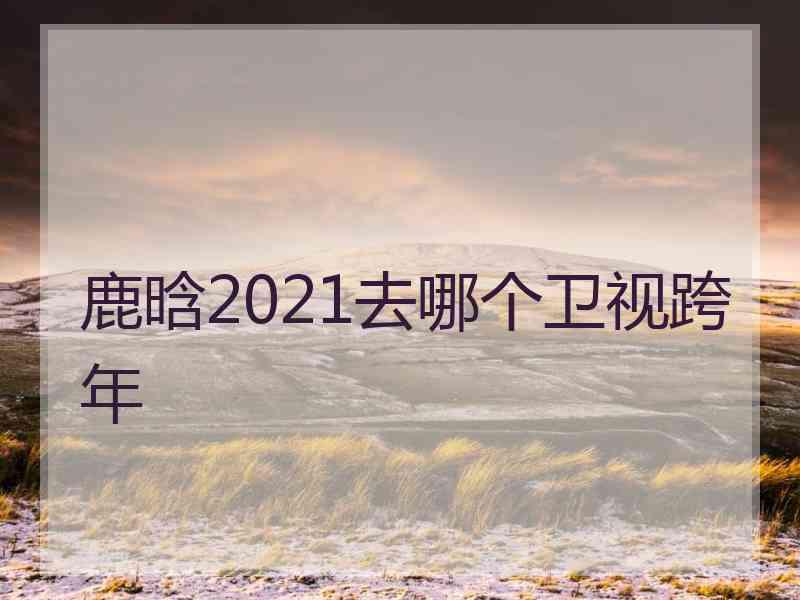 鹿晗2021去哪个卫视跨年