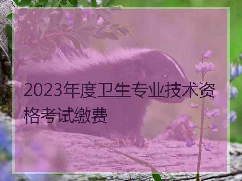 2023年度卫生专业技术资格考试缴费