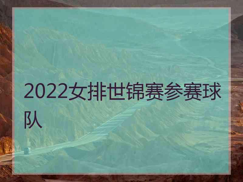 2022女排世锦赛参赛球队