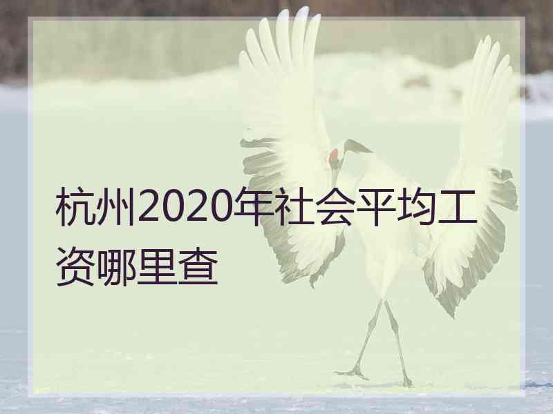 杭州2020年社会平均工资哪里查