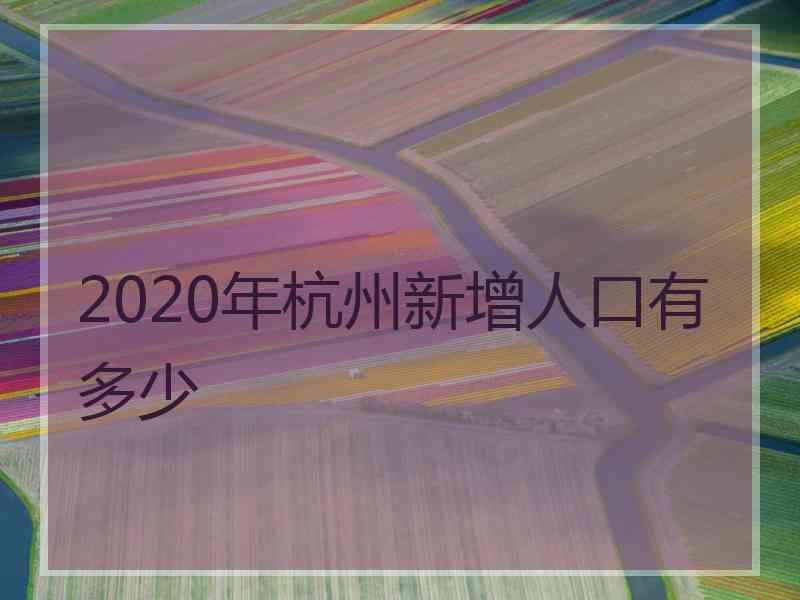 2020年杭州新增人口有多少