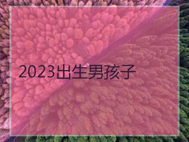 2023出生男孩子