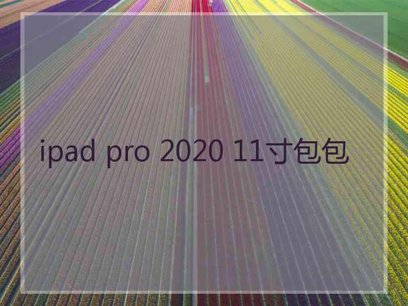 ipad pro 2020 11寸包包