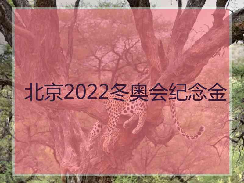 北京2022冬奥会纪念金