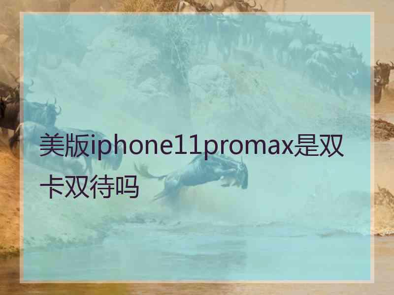 美版iphone11promax是双卡双待吗