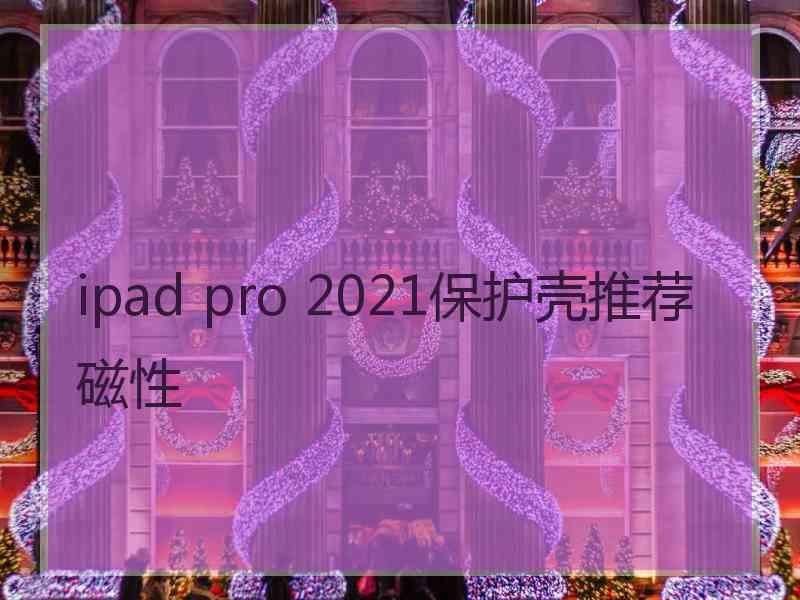 ipad pro 2021保护壳推荐磁性