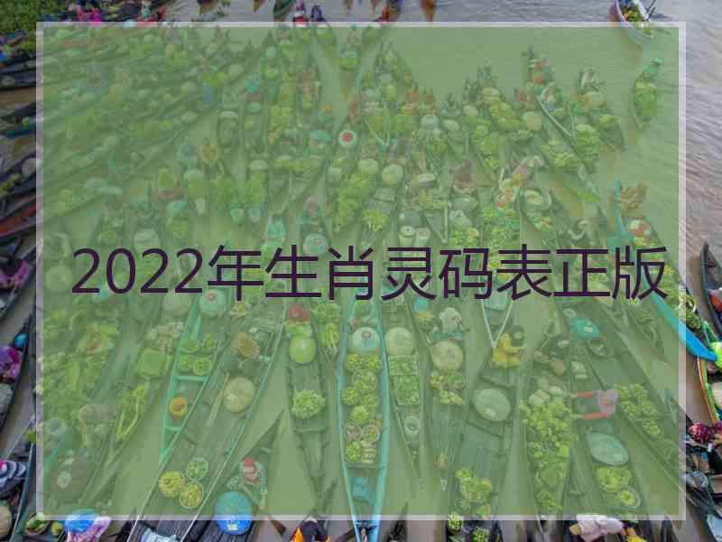 2022年生肖灵码表正版