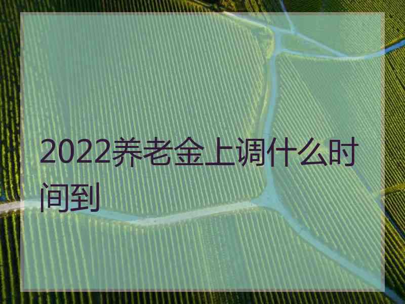 2022养老金上调什么时间到