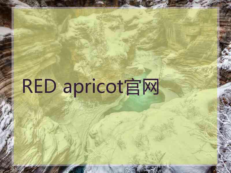 RED apricot官网