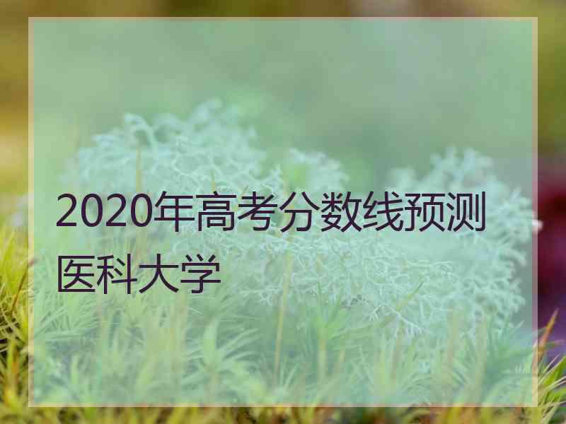 2020年高考分数线预测医科大学