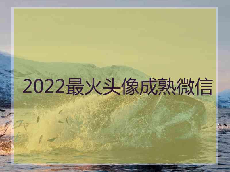 2022最火头像成熟微信