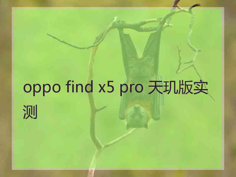 oppo find x5 pro 天玑版实测