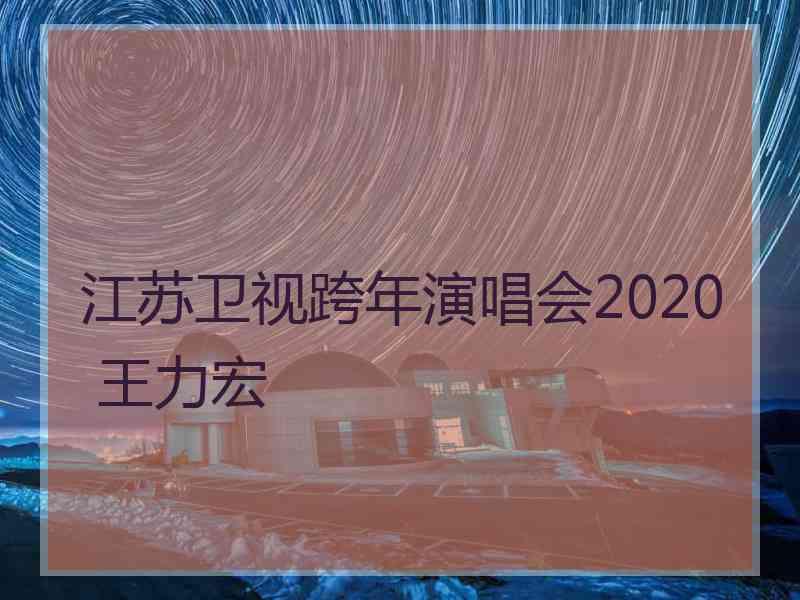 江苏卫视跨年演唱会2020 王力宏