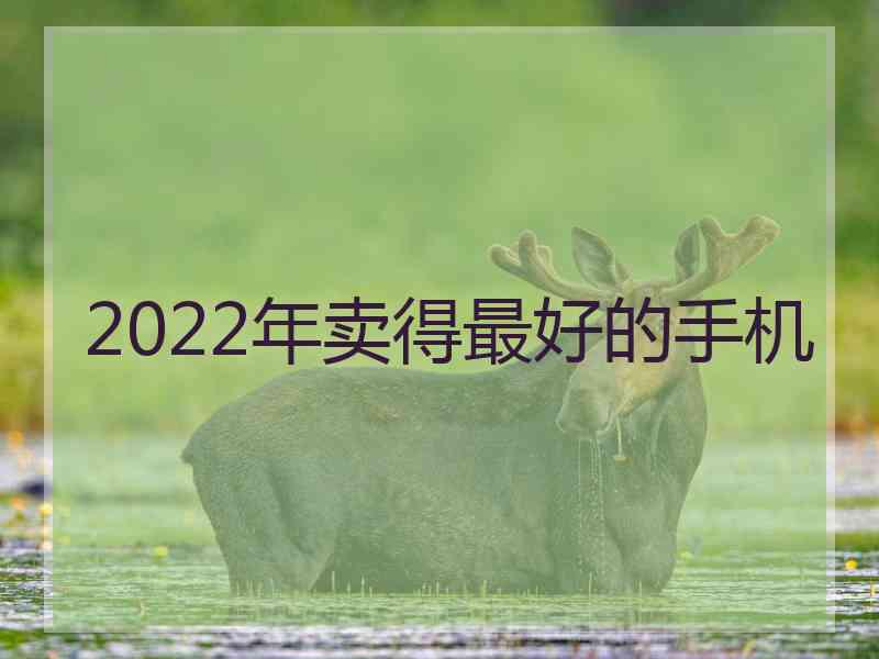 2022年卖得最好的手机