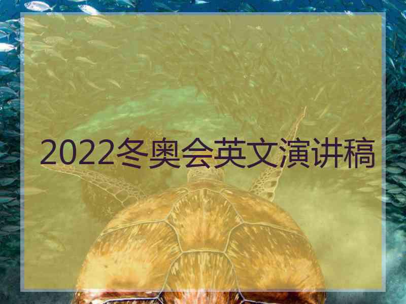 2022冬奥会英文演讲稿