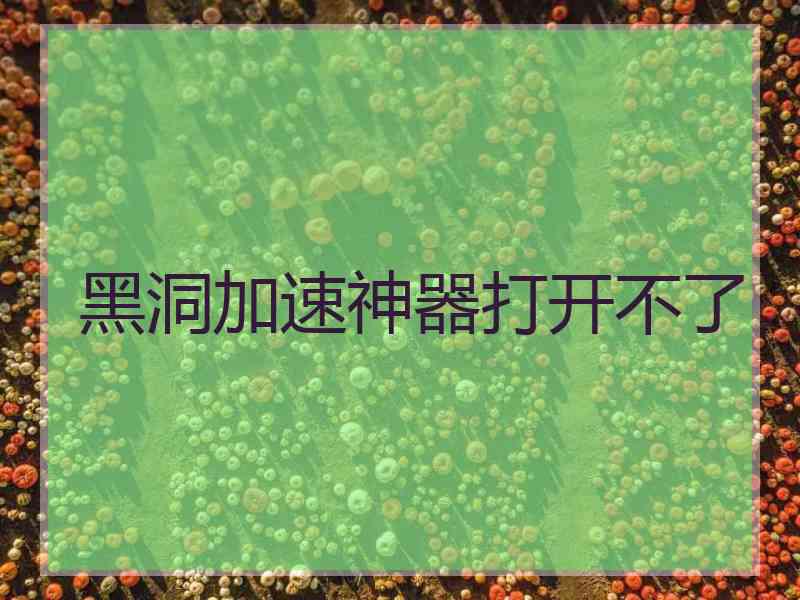 黑洞加速神器打开不了