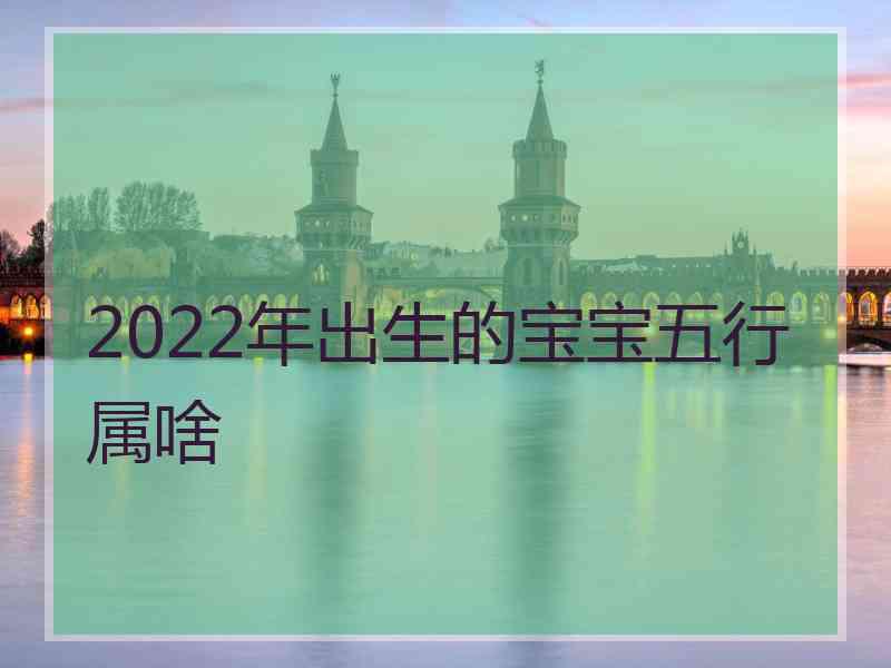 2022年出生的宝宝五行属啥