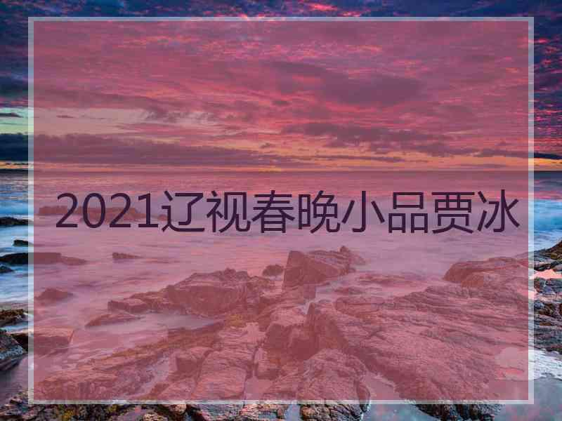 2021辽视春晚小品贾冰