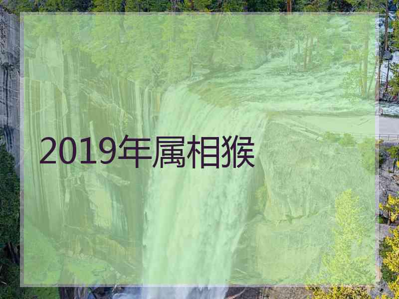 2019年属相猴