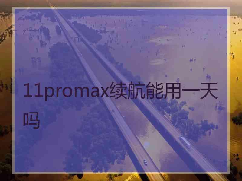 11promax续航能用一天吗