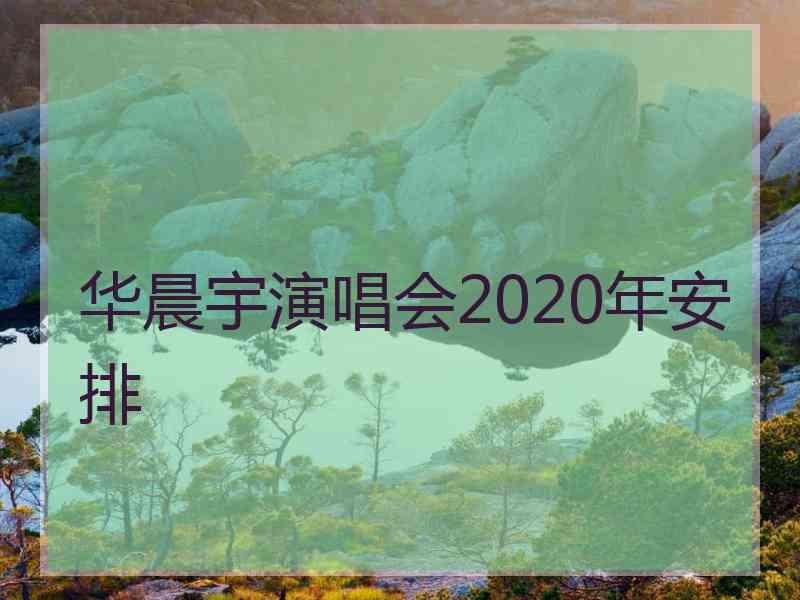 华晨宇演唱会2020年安排