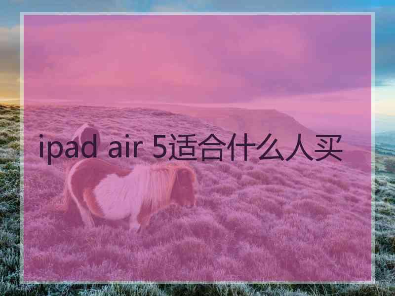 ipad air 5适合什么人买