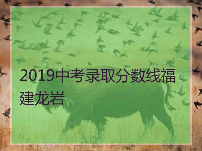 2019中考录取分数线福建龙岩