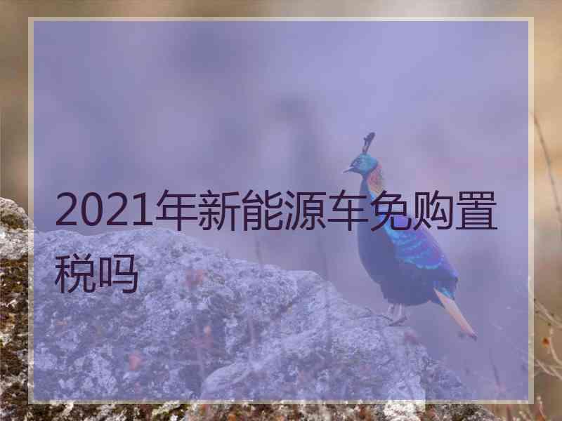 2021年新能源车免购置税吗