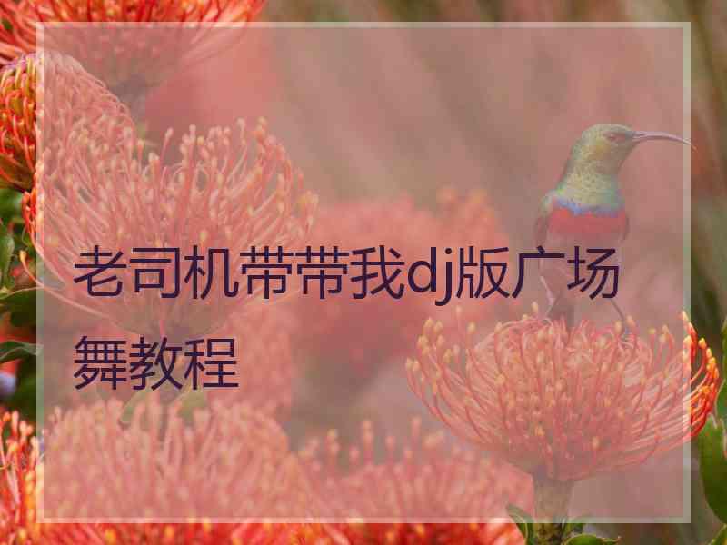 老司机带带我dj版广场舞教程