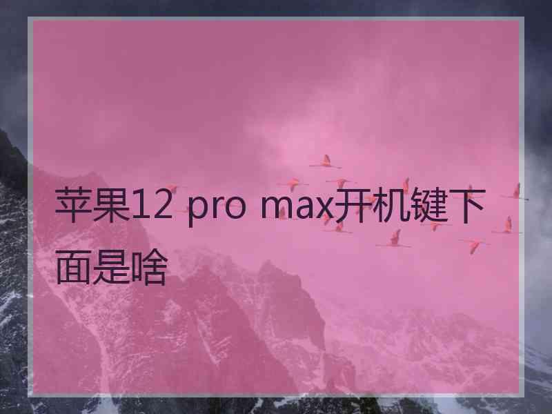 苹果12 pro max开机键下面是啥