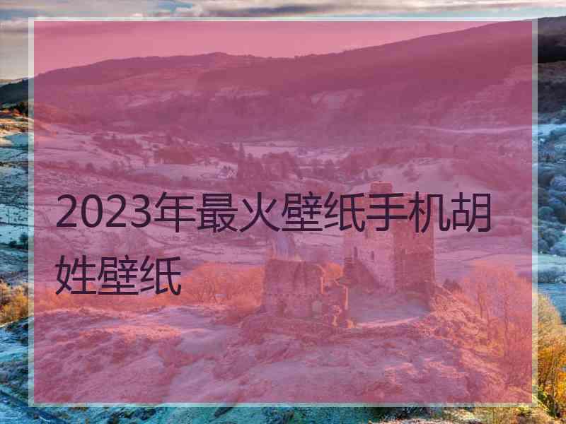 2023年最火壁纸手机胡姓壁纸