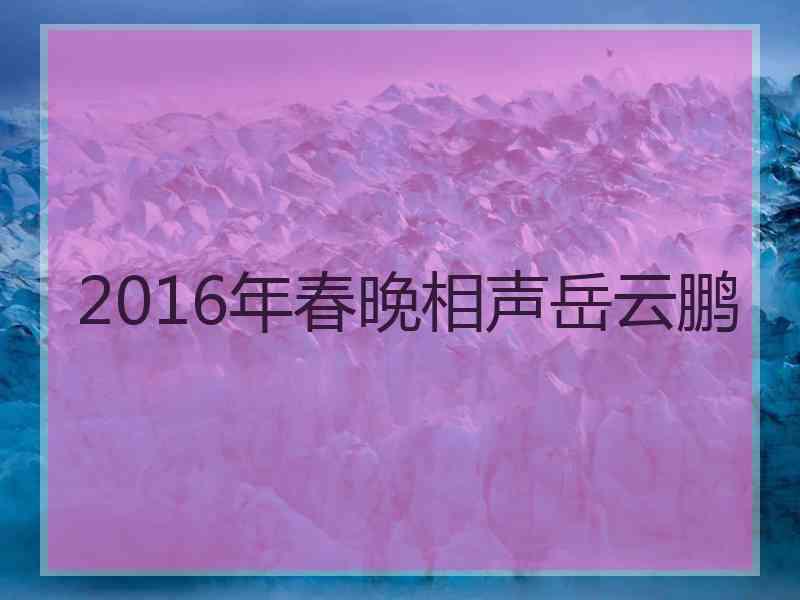 2016年春晚相声岳云鹏