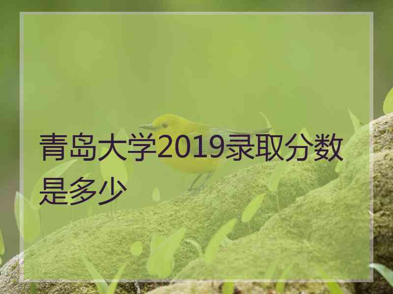 青岛大学2019录取分数是多少