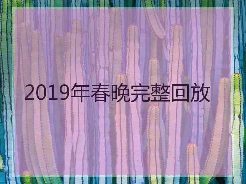 2019年春晚完整回放