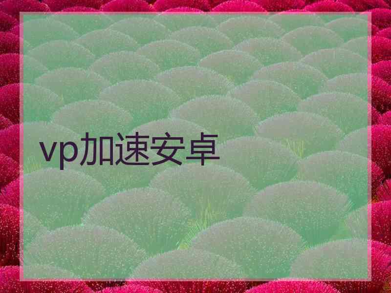 vp加速安卓