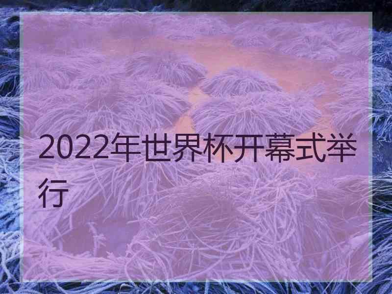 2022年世界杯开幕式举行